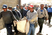 Miners Carrying Dead